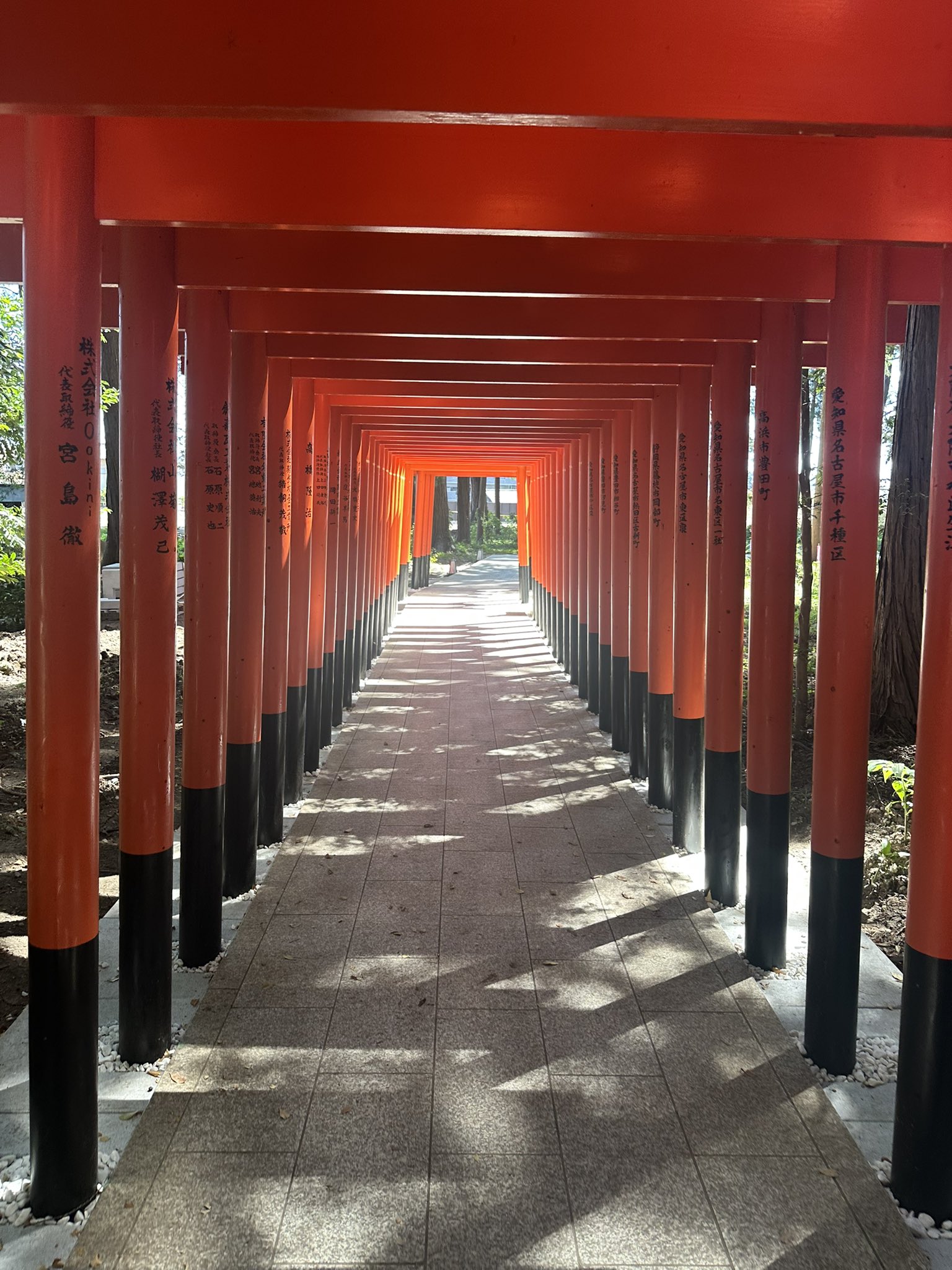 己龍 タオル 遠海准司 レア CATEGORY グッズ | B.P.STORE