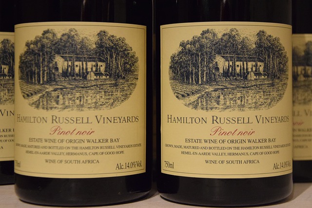 BesserwisserK's tweet photo. 18. August 2025 - Tag des Pinot Noir
Am 18. August ist der Tag des Pinot Noir, ein Tag, an dem Weinliebhaber auf der ganzen Welt den edlen Rotwein aus der anspruchsvollen Rebsorte feiern.
#Aktionstag #Rotwein #TagdesPinotNoir #Wein
https://t.co/bvYiWxsgyD https://t.co/4g9EZi8szV