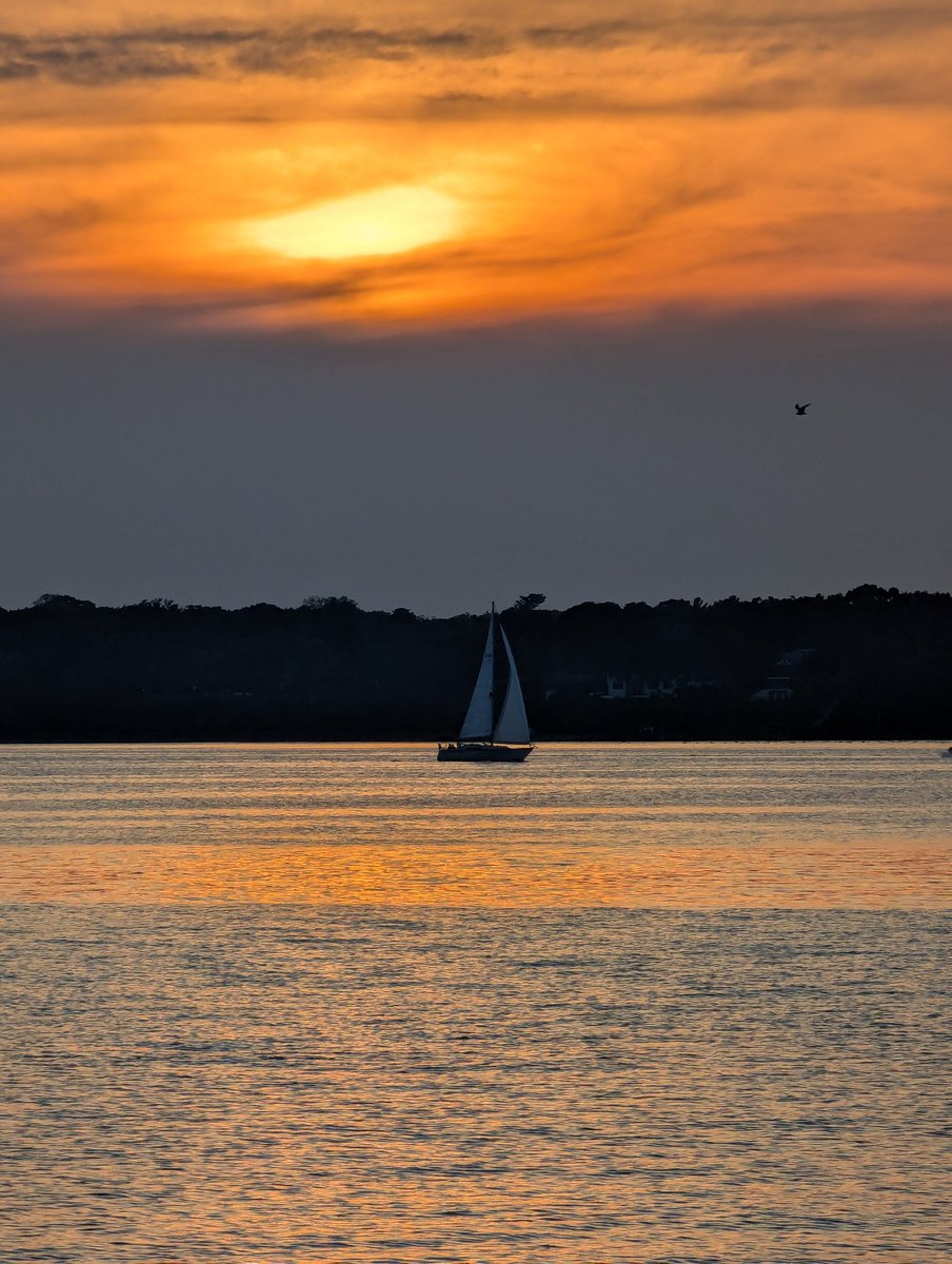 Jim Cook tweet media