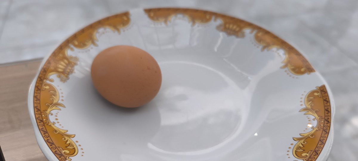 adz_ant's tweet photo. telur, telur apa yang .... #telur https://t.co/UJOvCJ4R9t