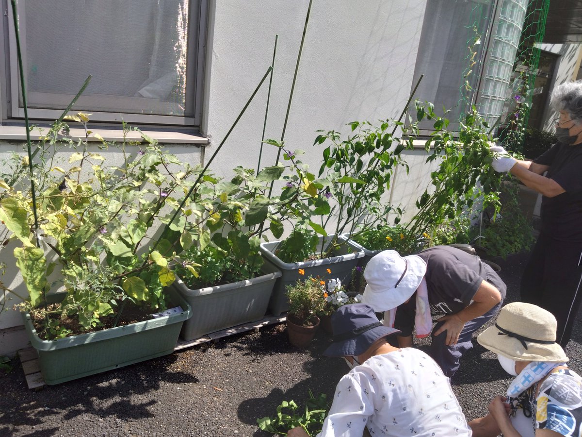 東本郷地域ケアプラザ　公式ブログ: 園芸クラブ omoiwotunaguys.blogspot.com/2025/08/blog-p… 
＃東本郷地域ケアプラザ
＃園芸クラブ