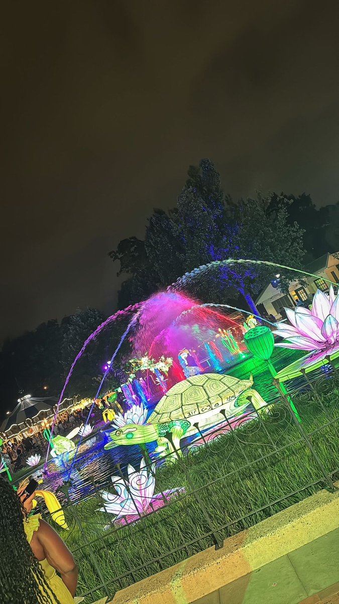 Quick flicks from PHL  Lantern Festival 🏮