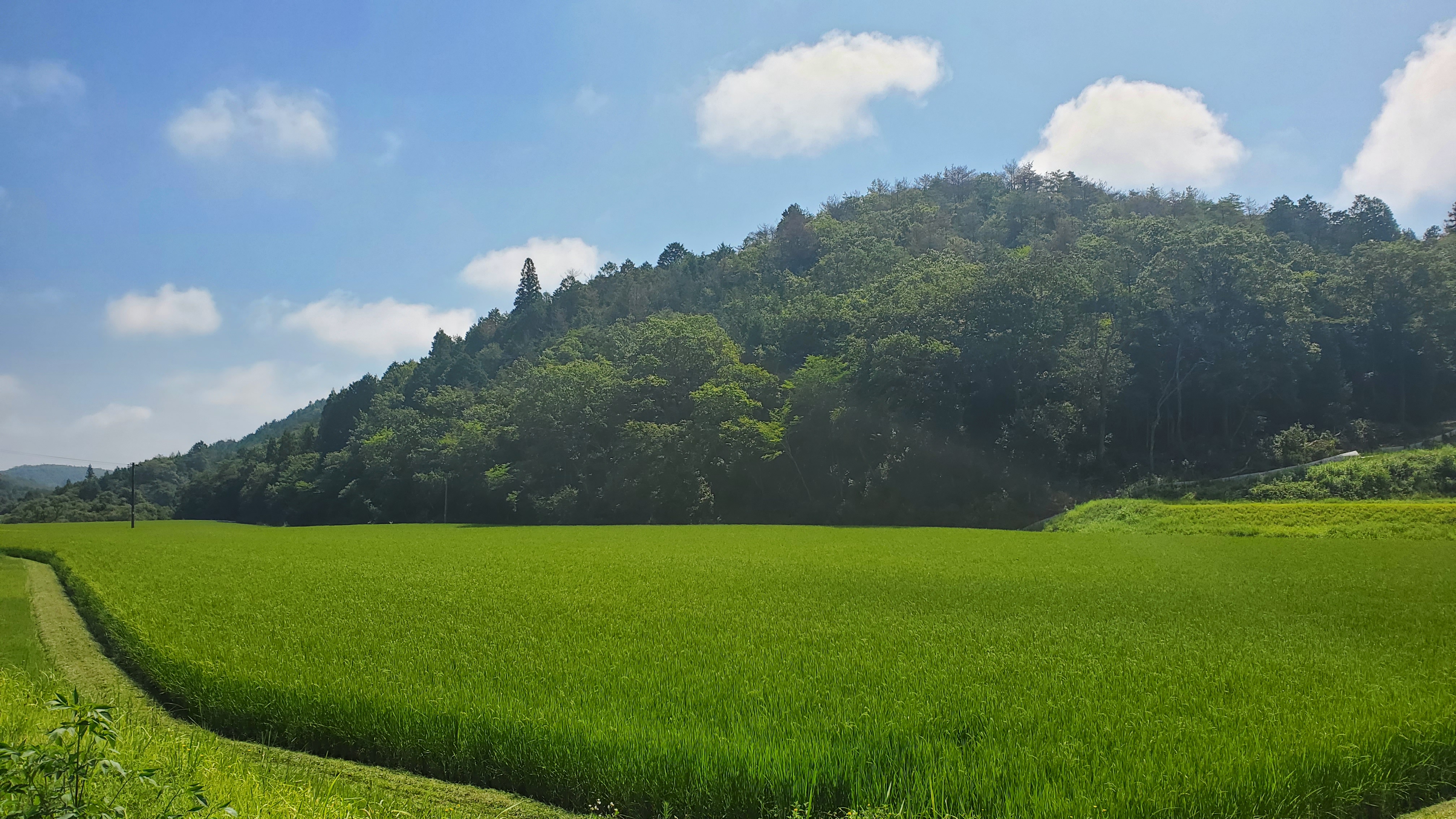 石丸ページです！ 石丸伸二 (@shinji_ishimaru) / X