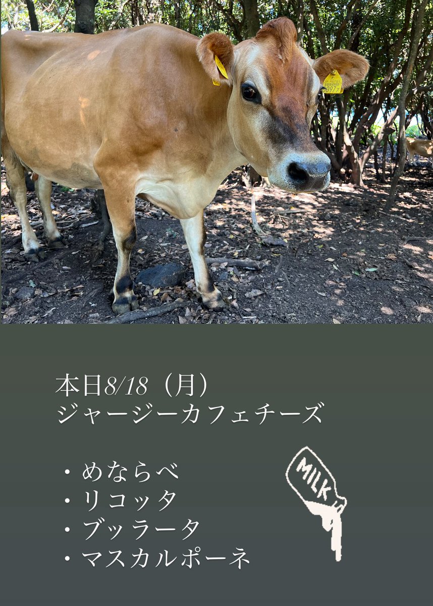 enkel_to_hare's tweet image. 本日8/18（月）
ジャージーカフェチーズ

・めならべ
・リコッタ　
・ブッラータ
・マスカルポーネ　

マスカルポーネチーズもございます🧀

季節の野菜、フルーツと合わせて🍅
常温に戻してからお召し上がりいただくと香り、食感がより楽しめます✨

#八丈島 #ジャージー #チーズ @jerseycafe8jo