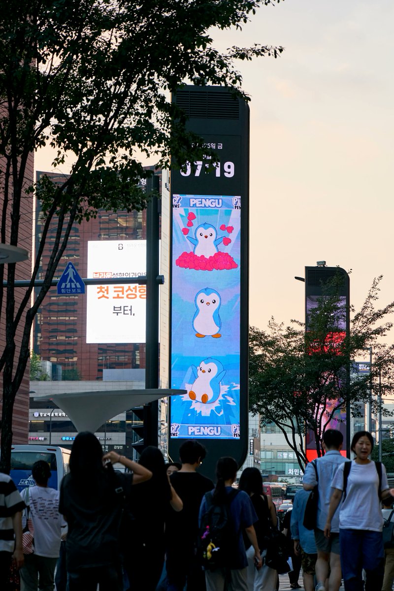 Pudgy Penguins tweet media