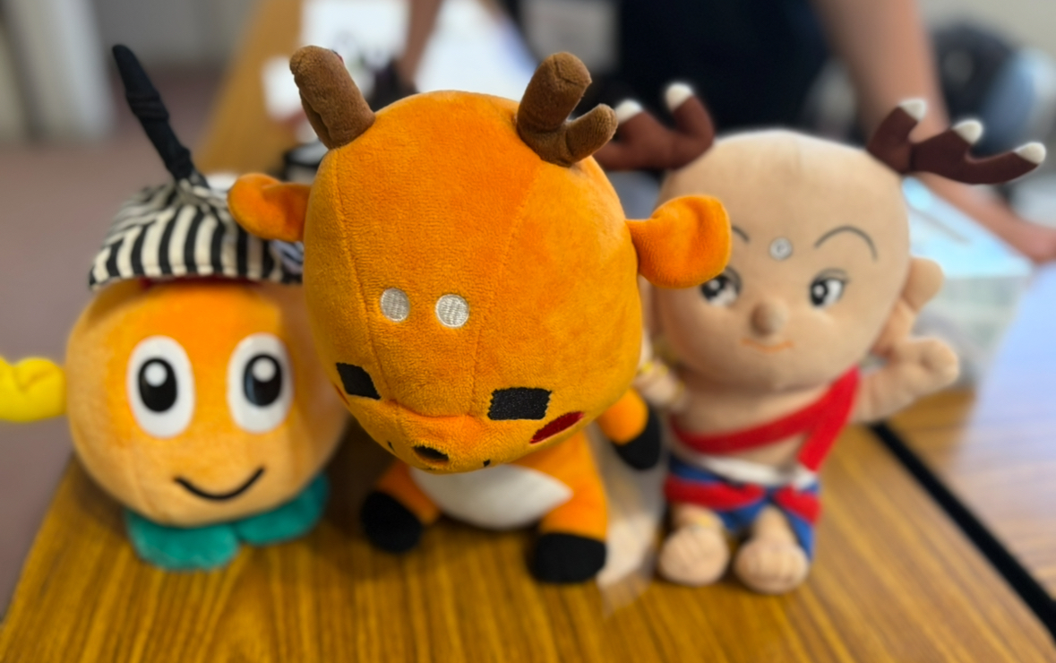 祝❕合格値下げ‼️ほぼ無記入☆　浜学園　小６　国語セット 本日のみ、値下げ❕ほぼ無記入☆ 【最新版】浜学園 日曜志望校別