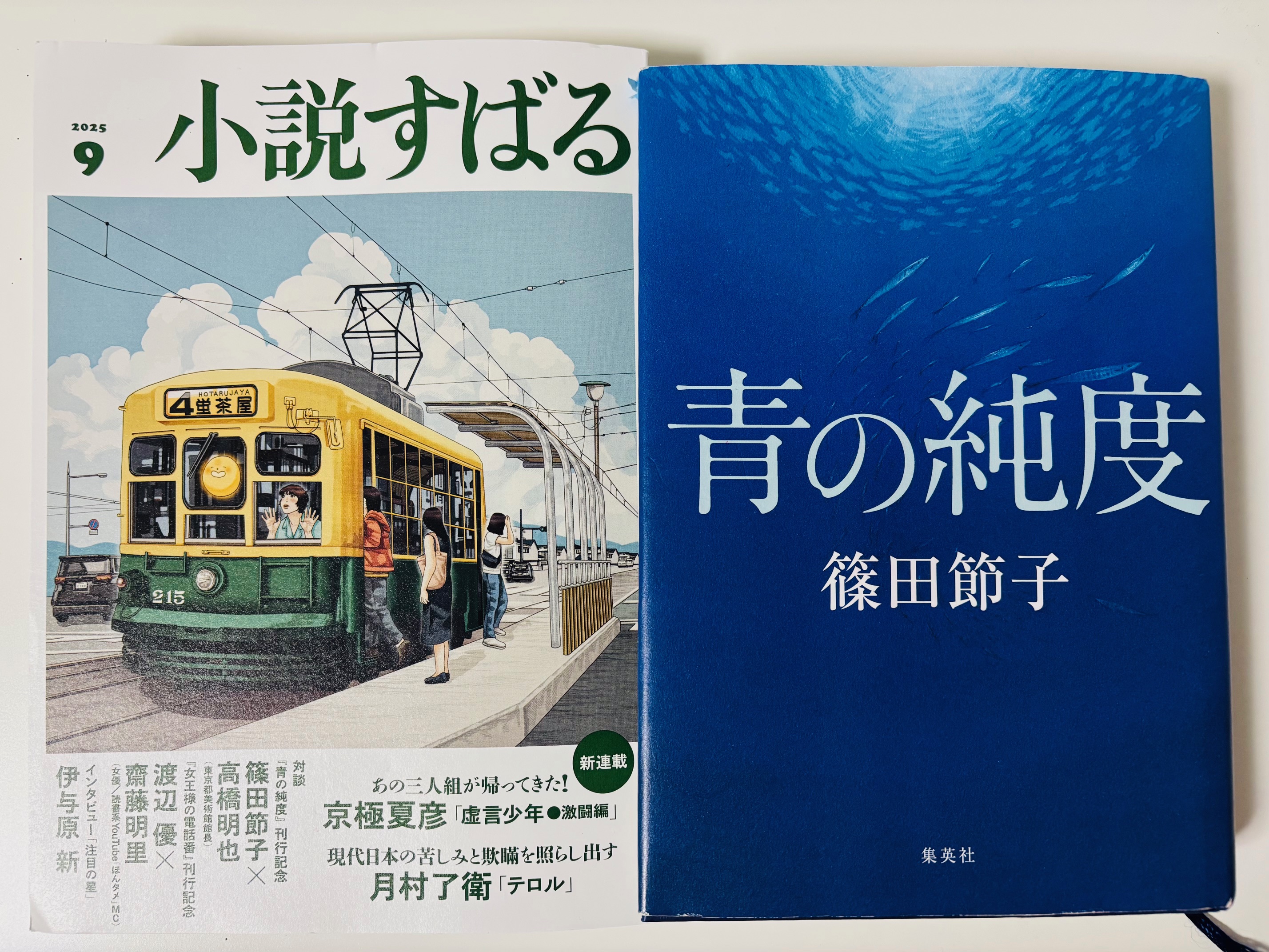 詩經2冊　文選7冊　集英社 谷川俊太郎詩選集 (2) (集英社文庫) | 谷川 俊太郎 |本 | 通販
