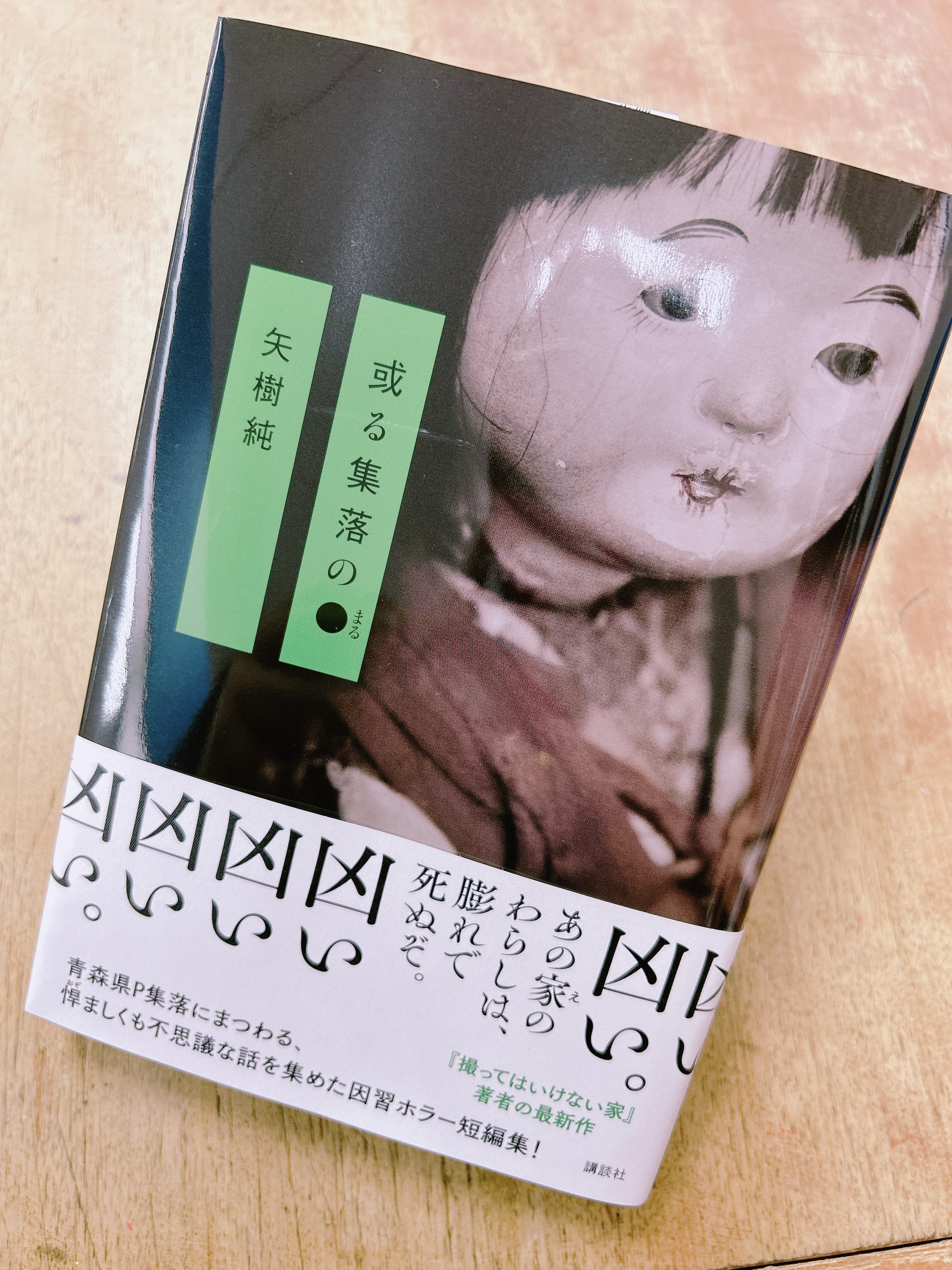 密室本2 メフィスト巻末編集者座談会 講談社ノベルス30周年記念 講談社ノベルス30周年記念 密室本2 メフィスト巻末編集者座談会
