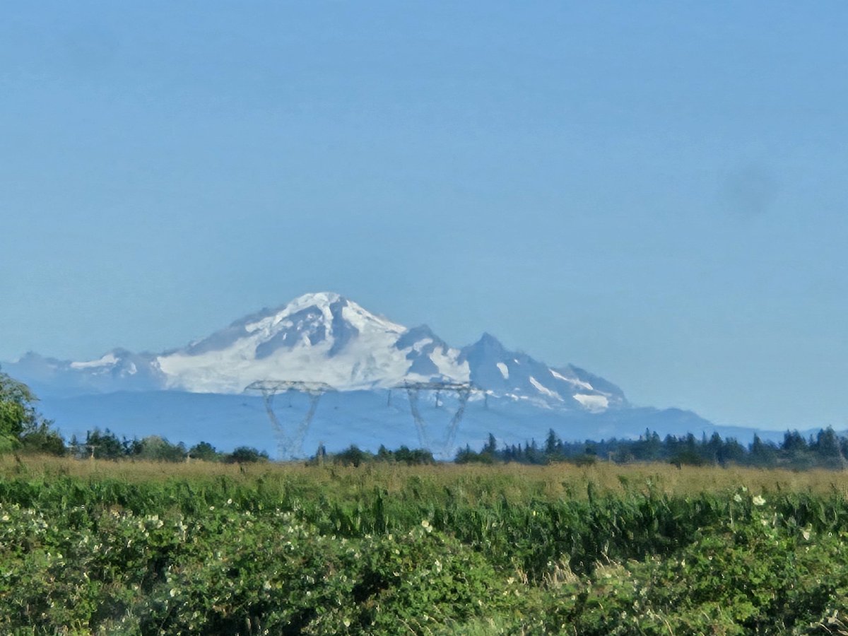 R0sear1n's tweet image. Nature is my therapy.
#NatureLovers #NatureVibes
#WanderInNature #NatureHealing