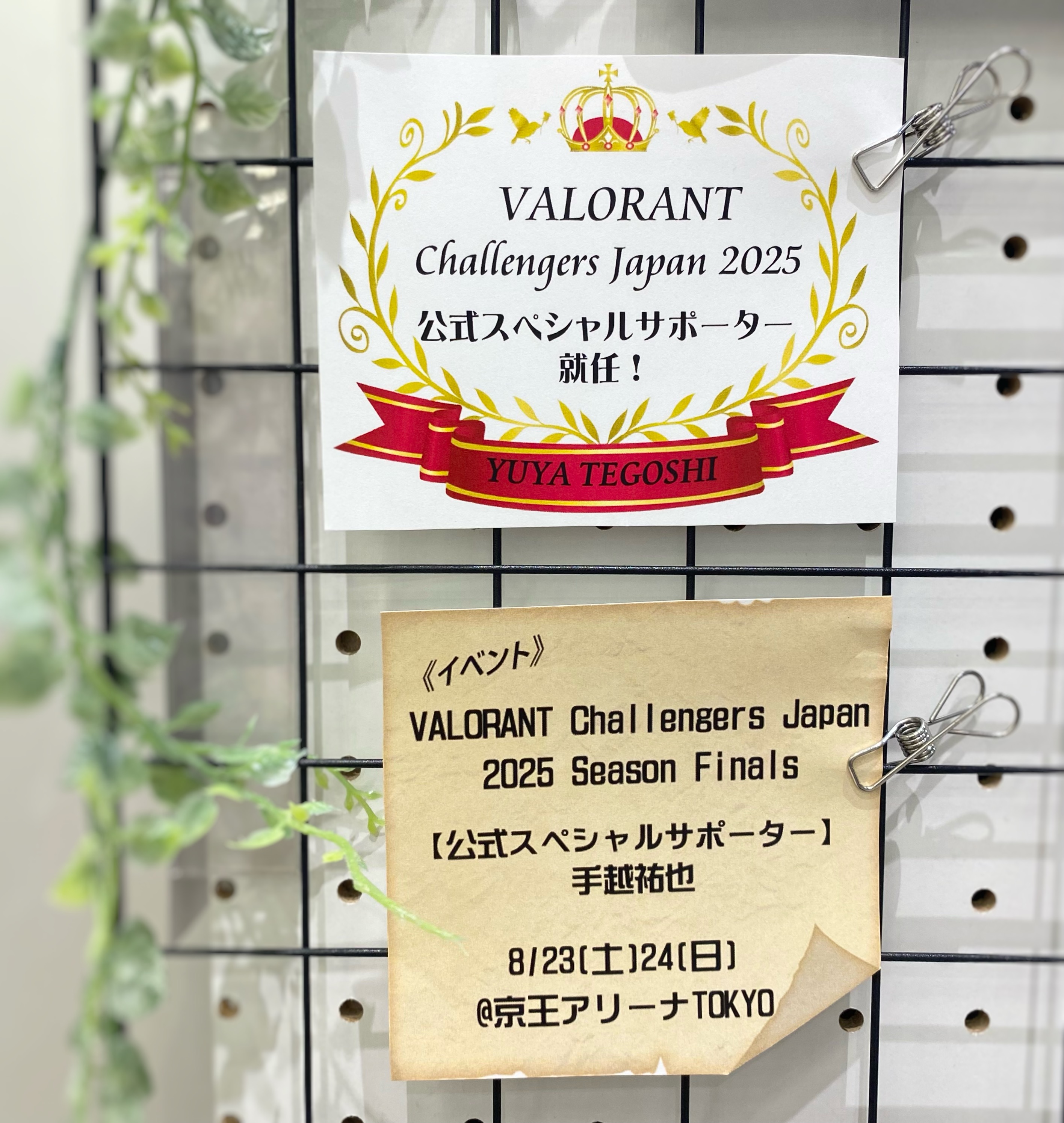 タワーレコード アリオモール蘇我店 on X: 