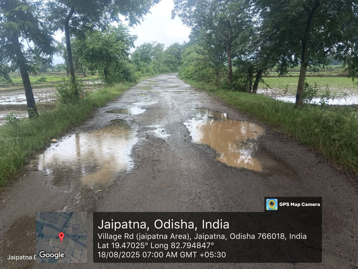 ଆପଣମାନଙ୍କ ସାଥିରେ ମୁଁ ଗୋପାଳିନି ରଣା tweet media