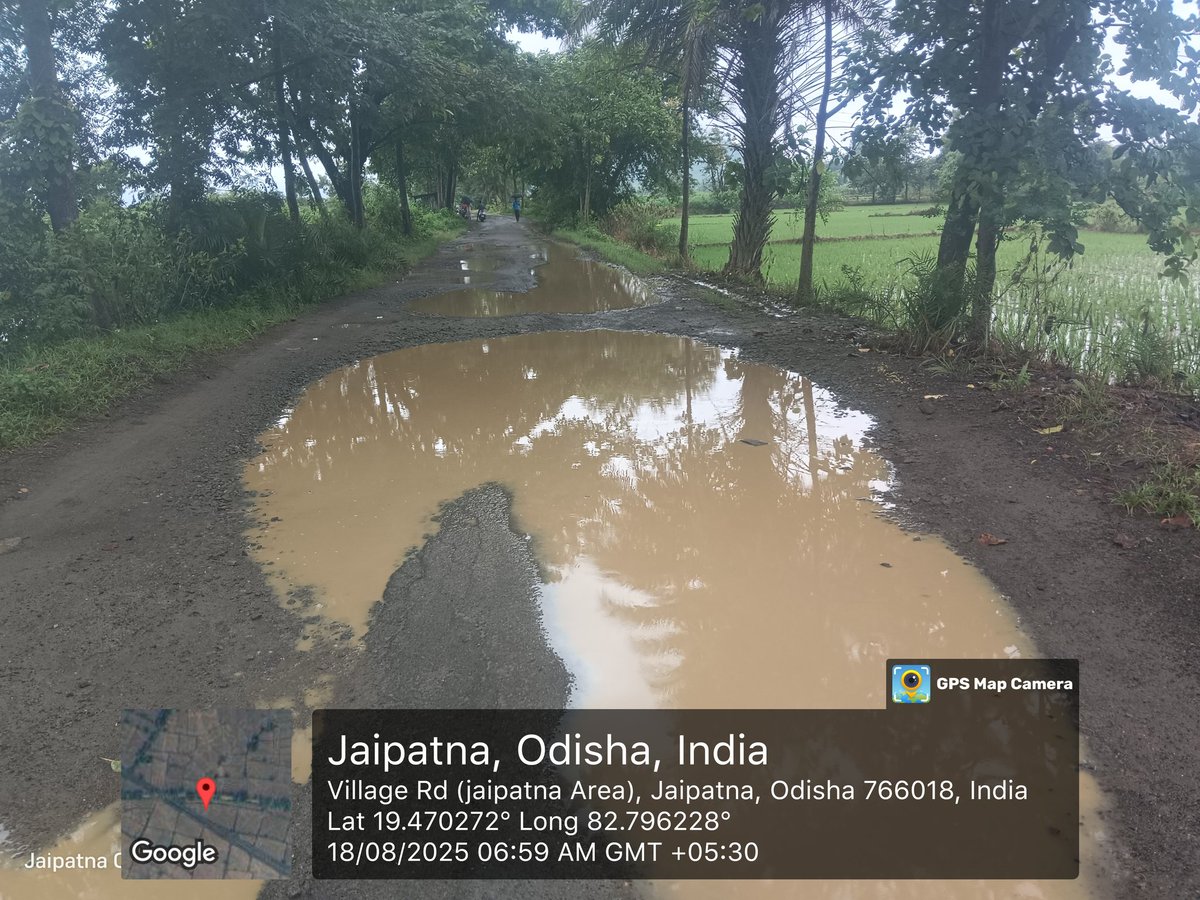 ଆପଣମାନଙ୍କ ସାଥିରେ ମୁଁ ଗୋପାଳିନି ରଣା tweet media