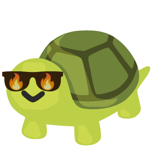 POV : Watching people fight their life on new pairs while i have my bag chilling in $turtle