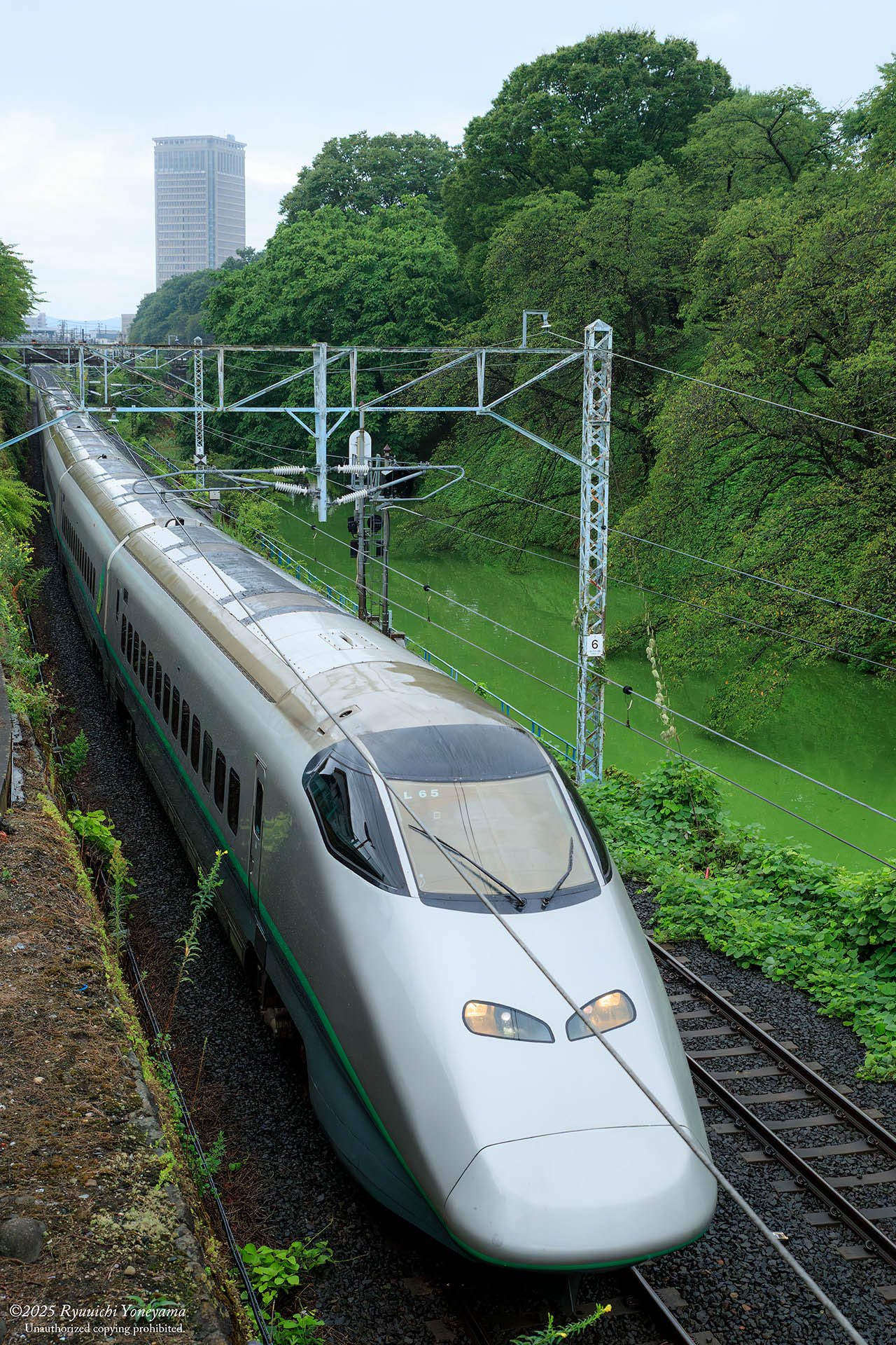 モンロー　城景都　Y152 モンロー 城景都 Y152