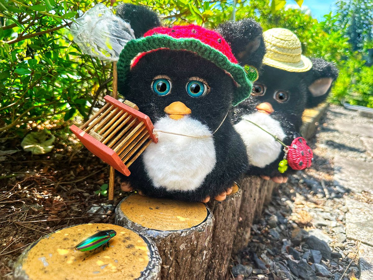 くましゃん&赤ずきんちゃんぽしぇっと くましゃんと赤ずきんちゃんぽしぇっとセット② Amazon.co.jp