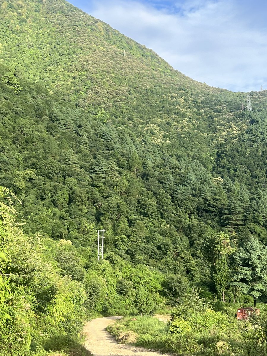 kunrup's tweet photo. Up, up and up again! Walking uphill swiftly is 🤩 fun
#matatirtha #chandragiri #posiivevibes #stayactive #staymotivated #walkforhealth #walkforfun #kathmandunepal https://t.co/O3E04r5C9O