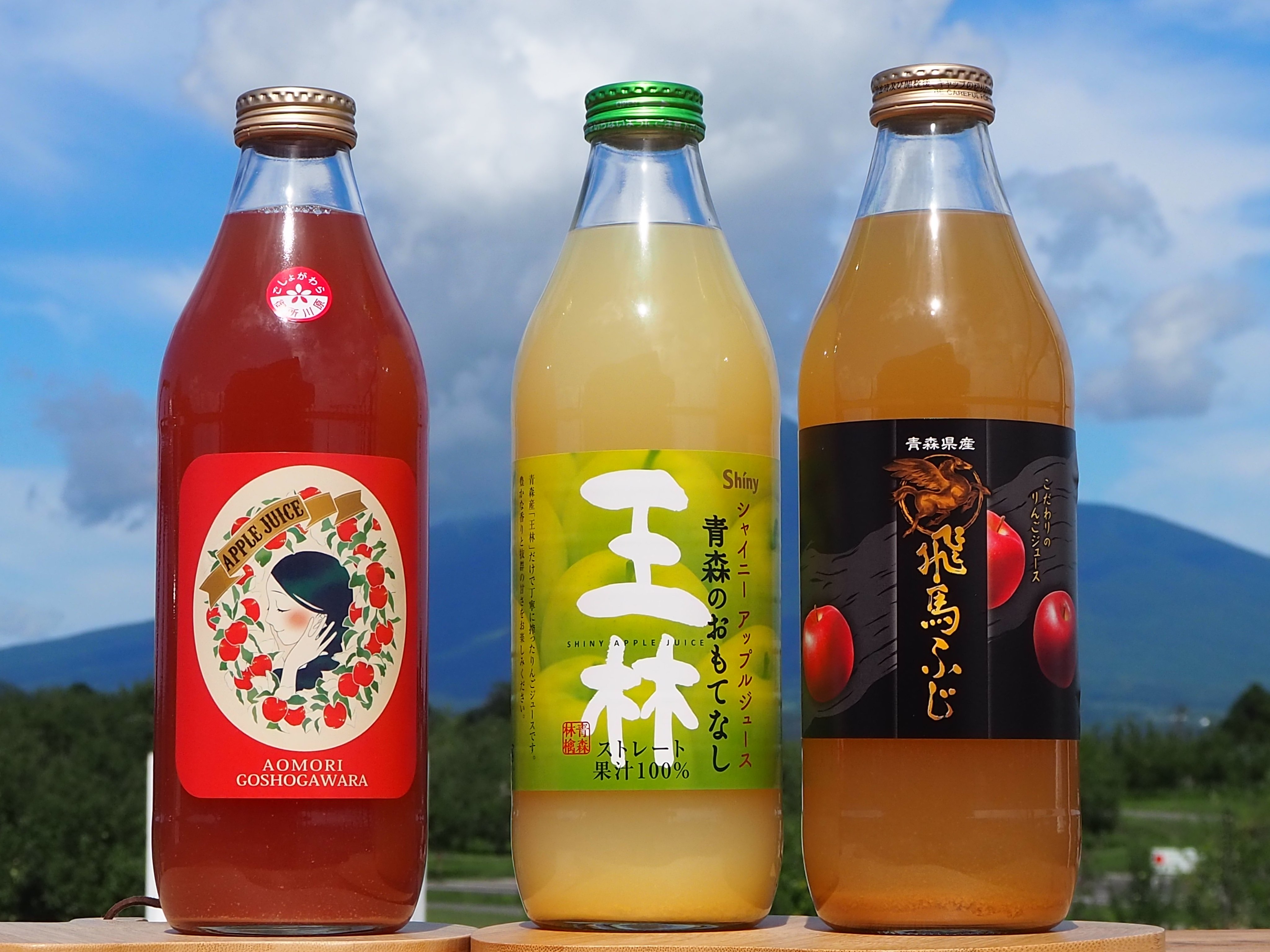 すわりんこ ふるさと納税 鰺ヶ沢町 りんごジュース 青森シャイニーアップル