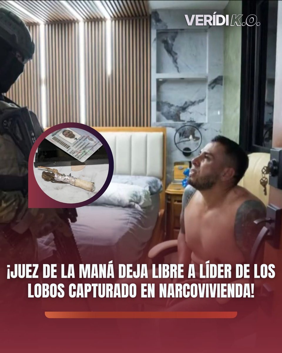 Cabecilla de un GDO es atrapado y liberado por un juez a las 24 horas, por favor si usted no tiene maestrías  phd's honoris causas en derecho constitucional abstenerse de opinar, con excepción de quienes pertenecen a la secta de prófugos del ácido fólico ellos son expertos en