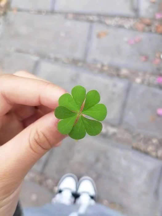 القلب الصادق يجلب السلام 🍀 كل يوم فرصة جديدة السماء تحمل الأمل