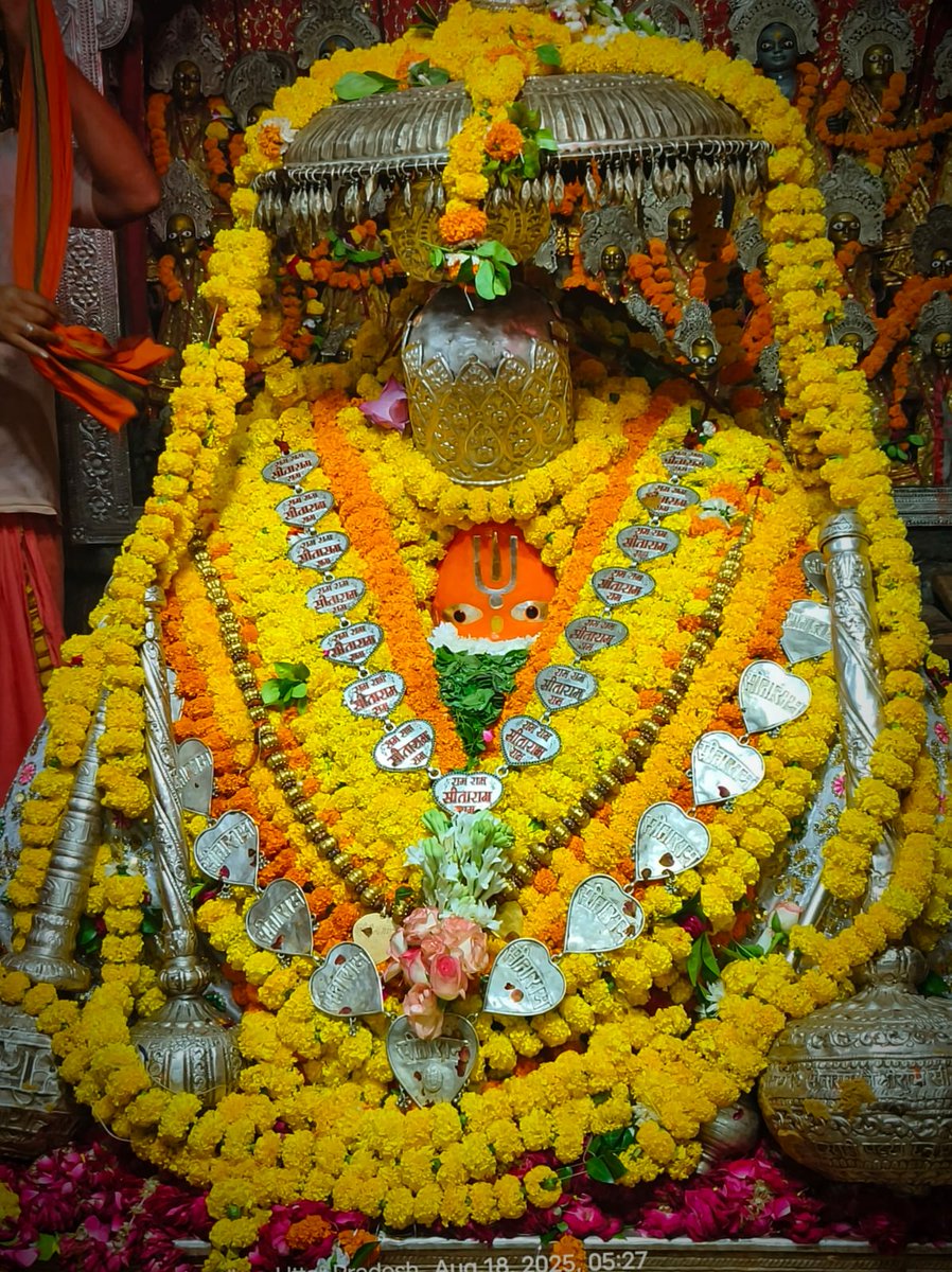 अयोध्या से महाराजाधिराज श्री हनुमान जी महाराज के अद्भुत दर्शन 🙏🌿