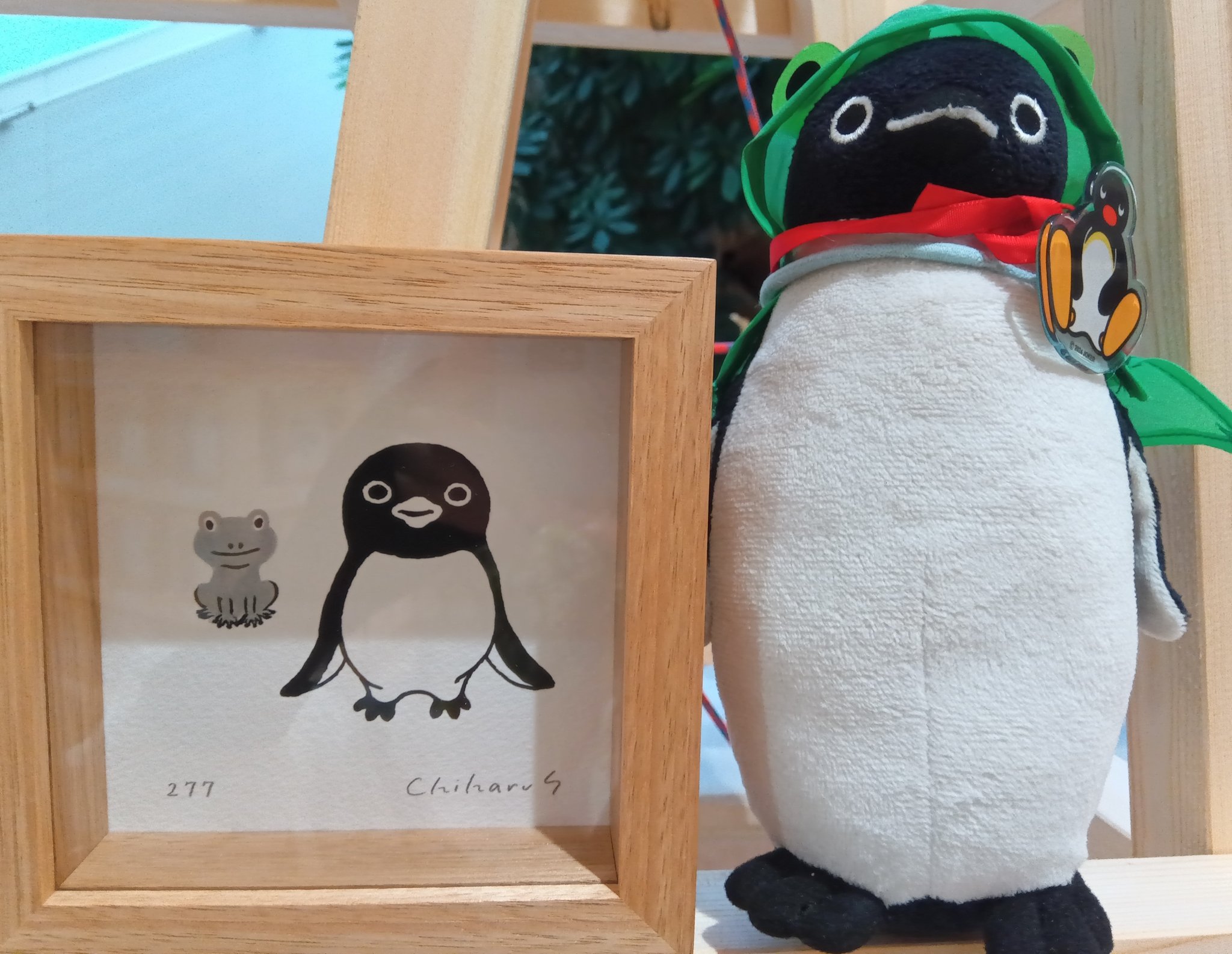 ペンギンちゃん ペンギンとなかまたち - Search / X