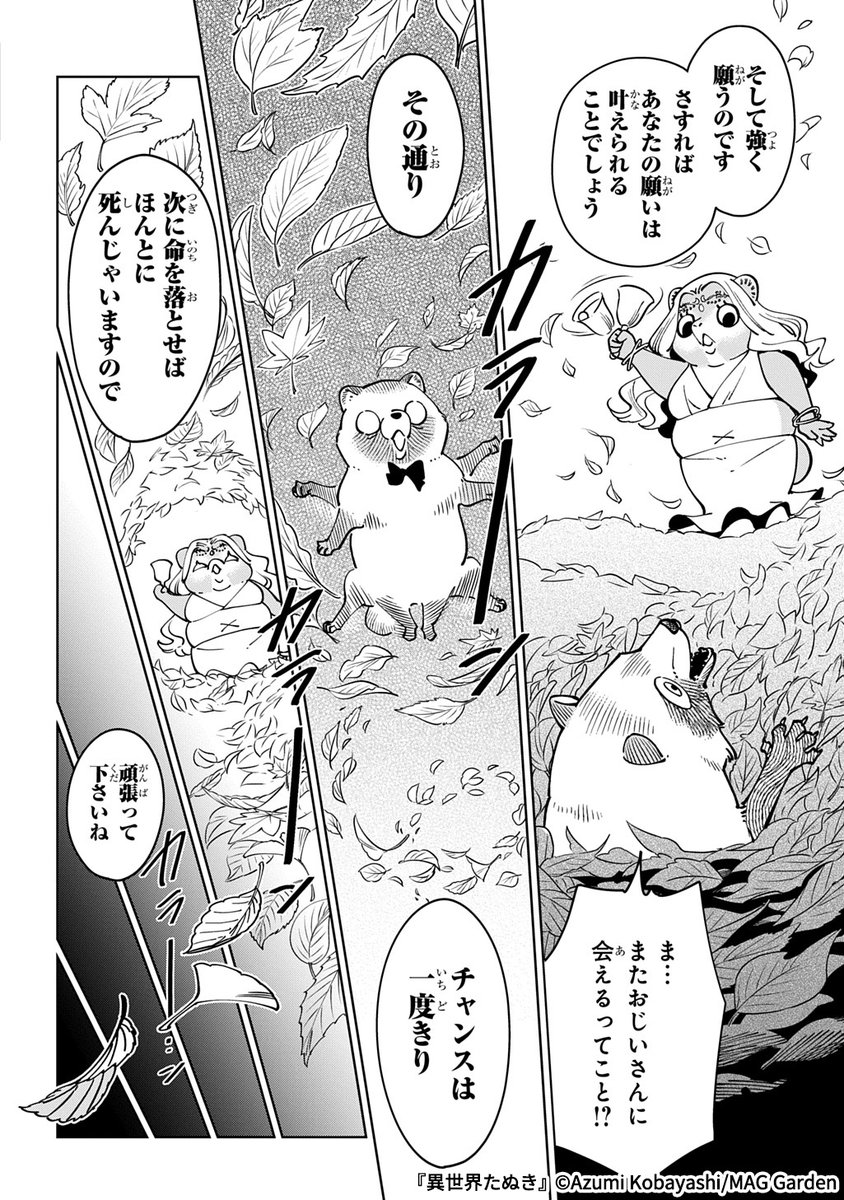ウザ可愛いたぬきが異世界に転生する話
 (5/6) 