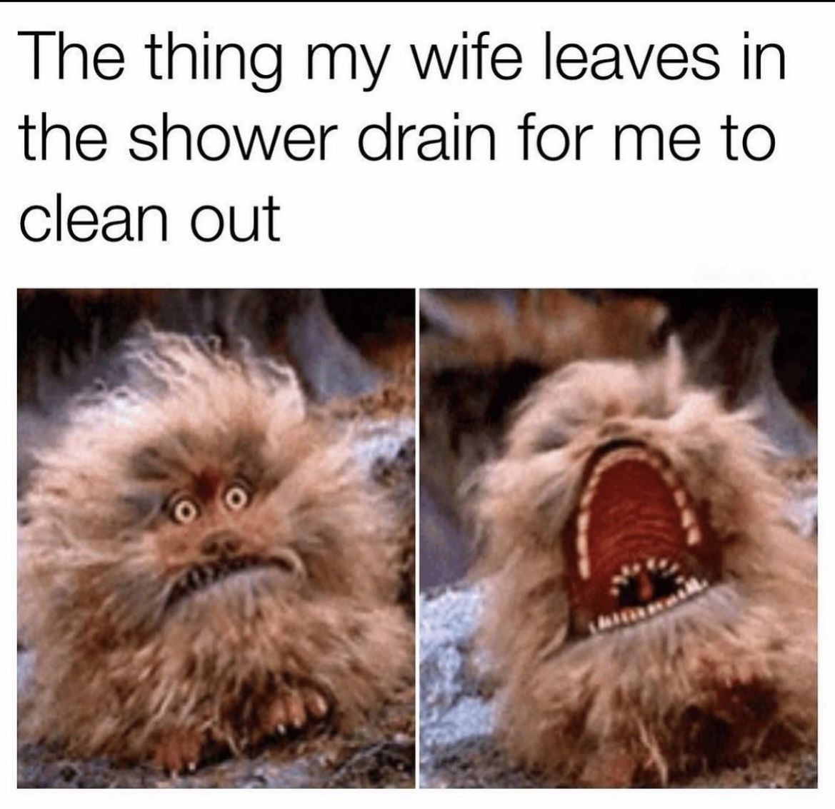 My future husband's life issue, but his will have red hair and sound like a dying T-Rex. 👩‍🦰🦖