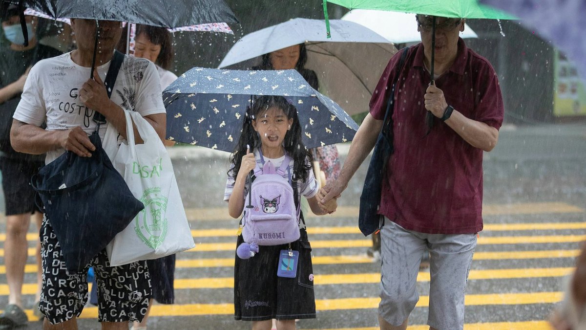 LightChasing6's tweet image. 教育局今晨宣布，由於紅色暴雨警告信號生效，所有上午校及全日制學校今日停課。