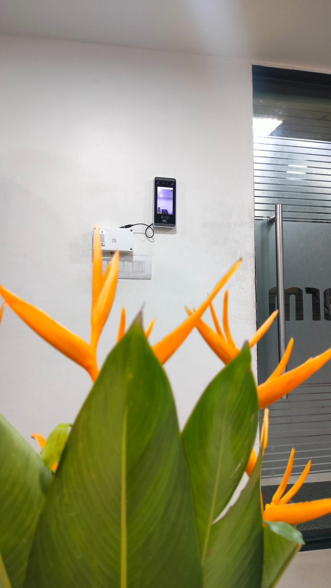 WeGroupNco's tweet photo. Where Technology Meets Nature ✨🌿
The bright blooms whisper beauty…
The biometric device reflects progress…
Let’s create a future where advancement never overshadows the simplicity and elegance of nature.
https://t.co/HQF8074fRr

#TechnologyAndNature #SmartLiving #Biometric https://t.co/1v09NXdKkP