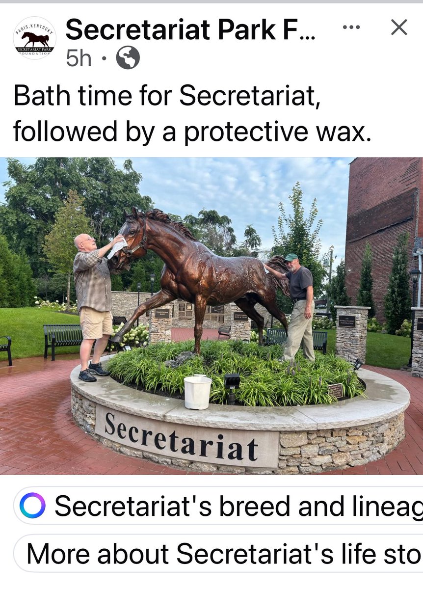 #HorseBaths