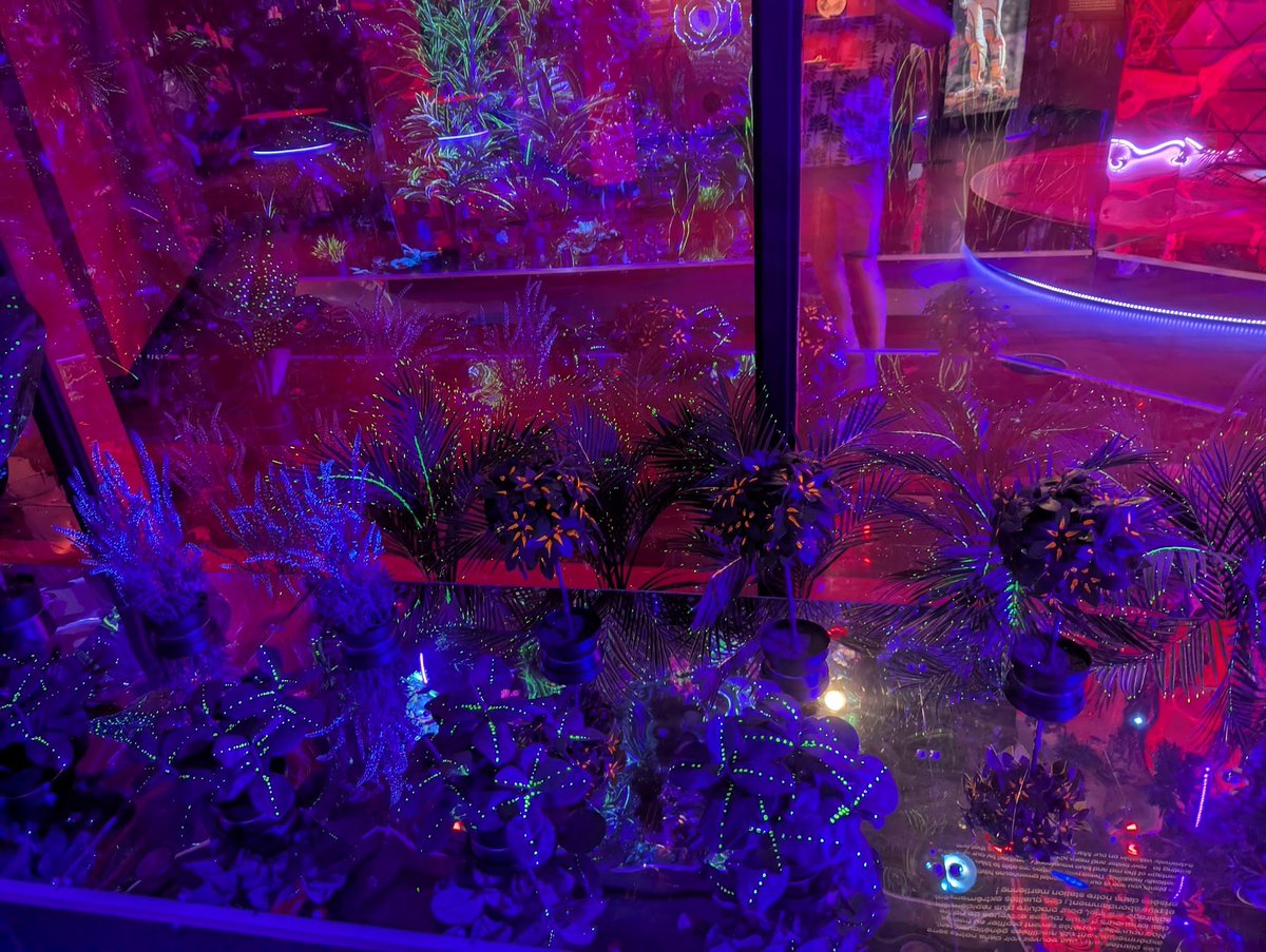 Alexandre Konioukhov (@alexank1) on Twitter photo 