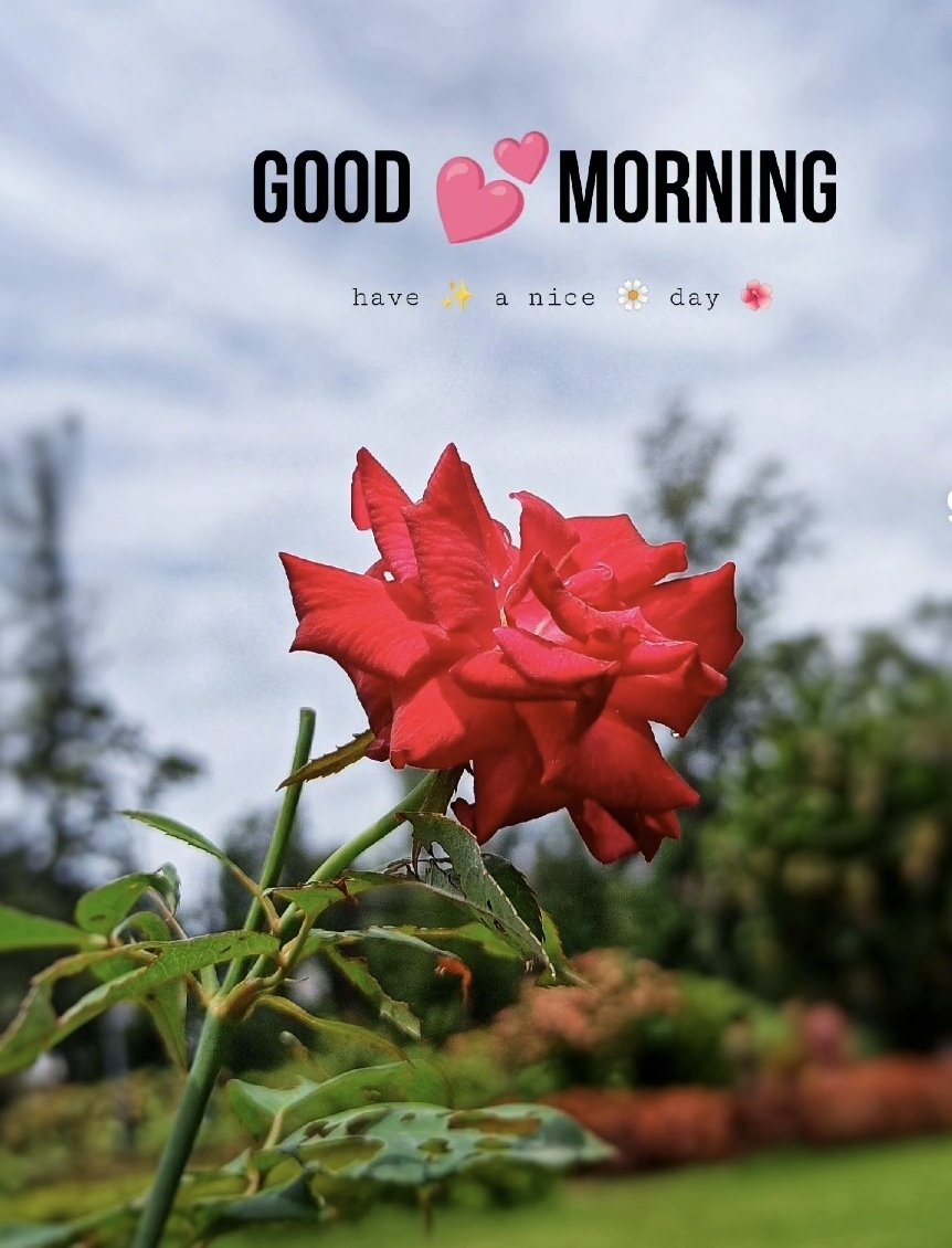 Good Morning Folks 🙏 Have an awesome day and week ahead! 🎶☕️☕️🎵