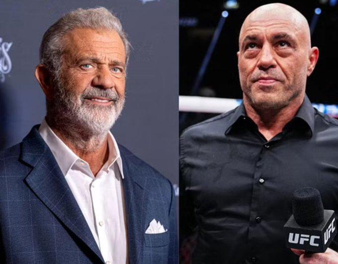 🚨 Mel Gibson said Ivermectin and Fenbendazole cured all 3 of his friends who had Stage 4 Cancer

How does that make you feel ?