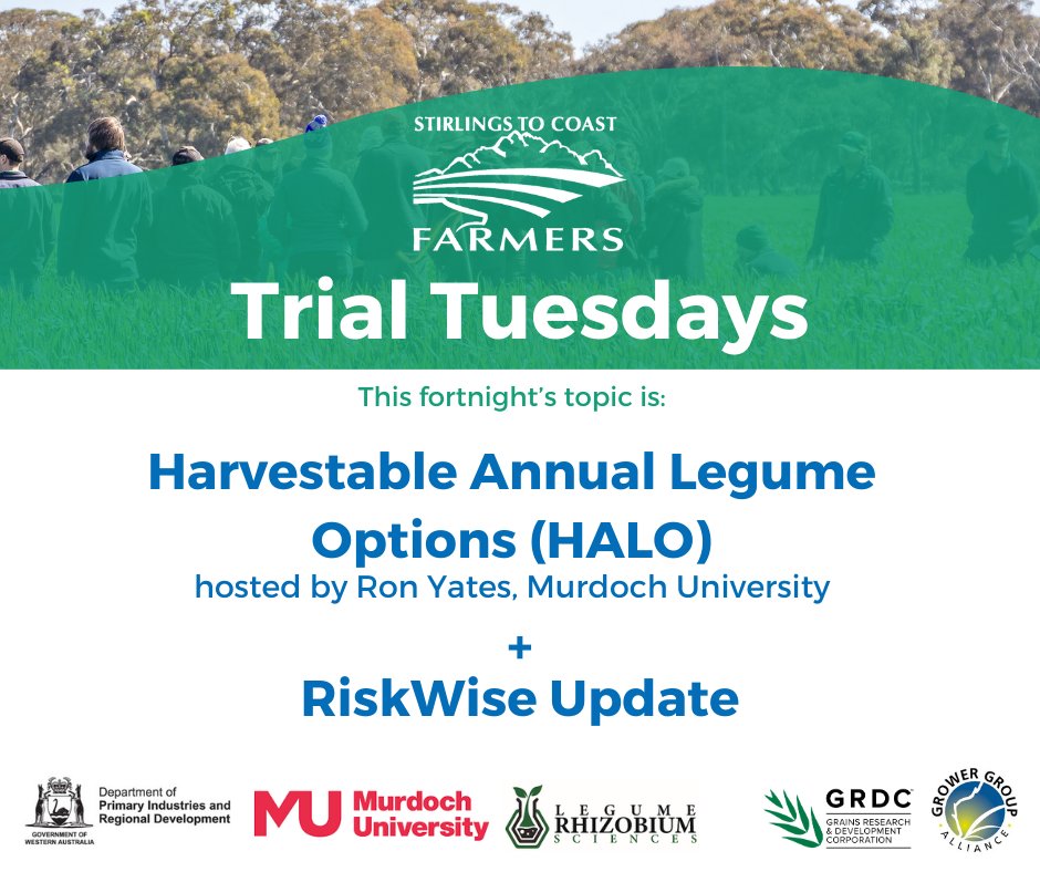 Stirlings to Coast Farmers (@stirlings2coast) on Twitter photo Join SCF & Murdoch University our next Trials Tuesday tomorrow!
TIME: Tuesday Aug 19 @ 2-5pm
LOCATIONS:
Stop 1 ~ -34.006861, 117.500361 ; Pindellup Rd, Tambellup (look out for the SCF signs)
Stop 2 ~ -34.423817, 117.673818  ; View Range Rd, Kendenup  (look out for the SCF Join SCF & Murdoch University our next Trials Tuesday tomorrow!
TIME: Tuesday Aug 19 @ 2-5pm
LOCATIONS:
Stop 1 ~ -34.006861, 117.500361 ; Pindellup Rd, Tambellup (look out for the SCF signs)
Stop 2 ~ -34.423817, 117.673818  ; View Range Rd, Kendenup  (look out for the SCF
