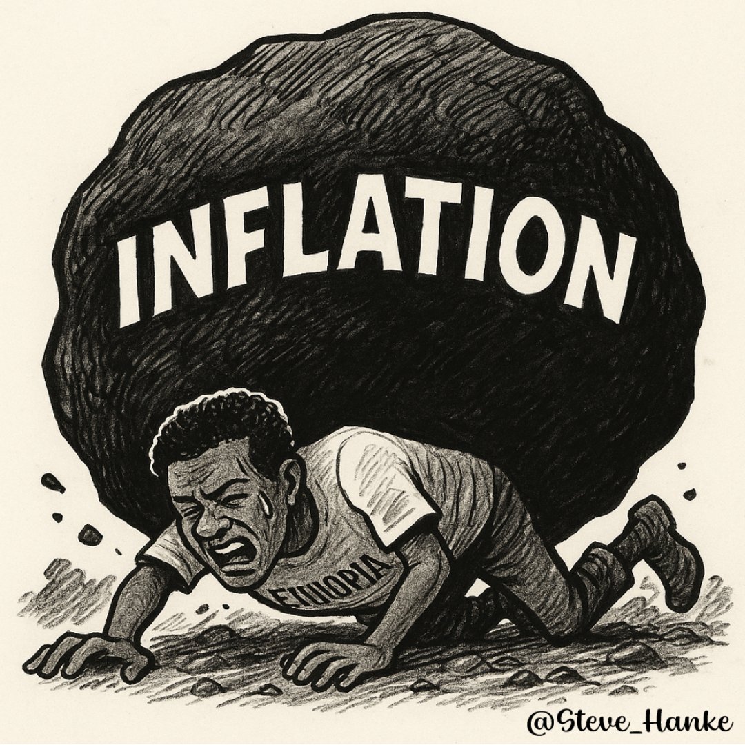 #EthiopiaWatch🇪🇹: Inflation continues to PUNISH Ethiopians.

Using high-frequency data, today, I measure Ethiopia’s inflation at 41.4%/yr — nearly 3x higher than the latest official inflation rate of 14%/yr.