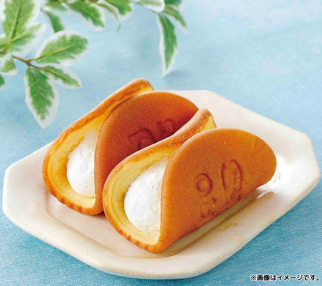 ナマコクリーム10個 Amazon | ma:nyo ビフィダバイオームコンセントレートクリーム