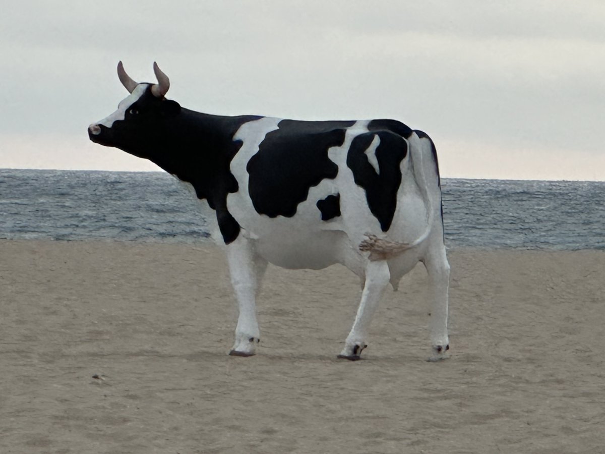 Ciszek (@ciszek) on Twitter photo 