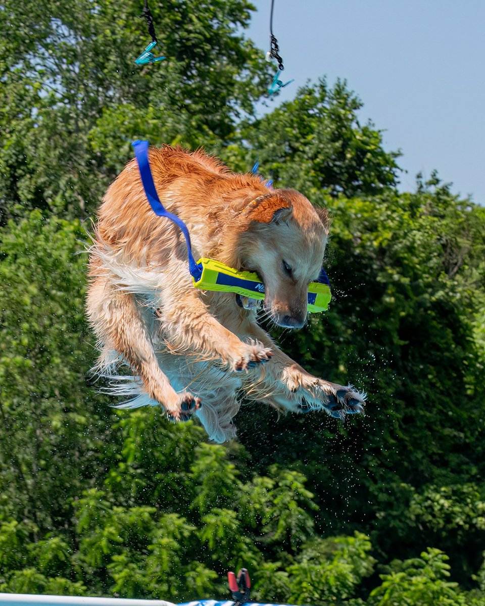 Michael Belitzky tweet media