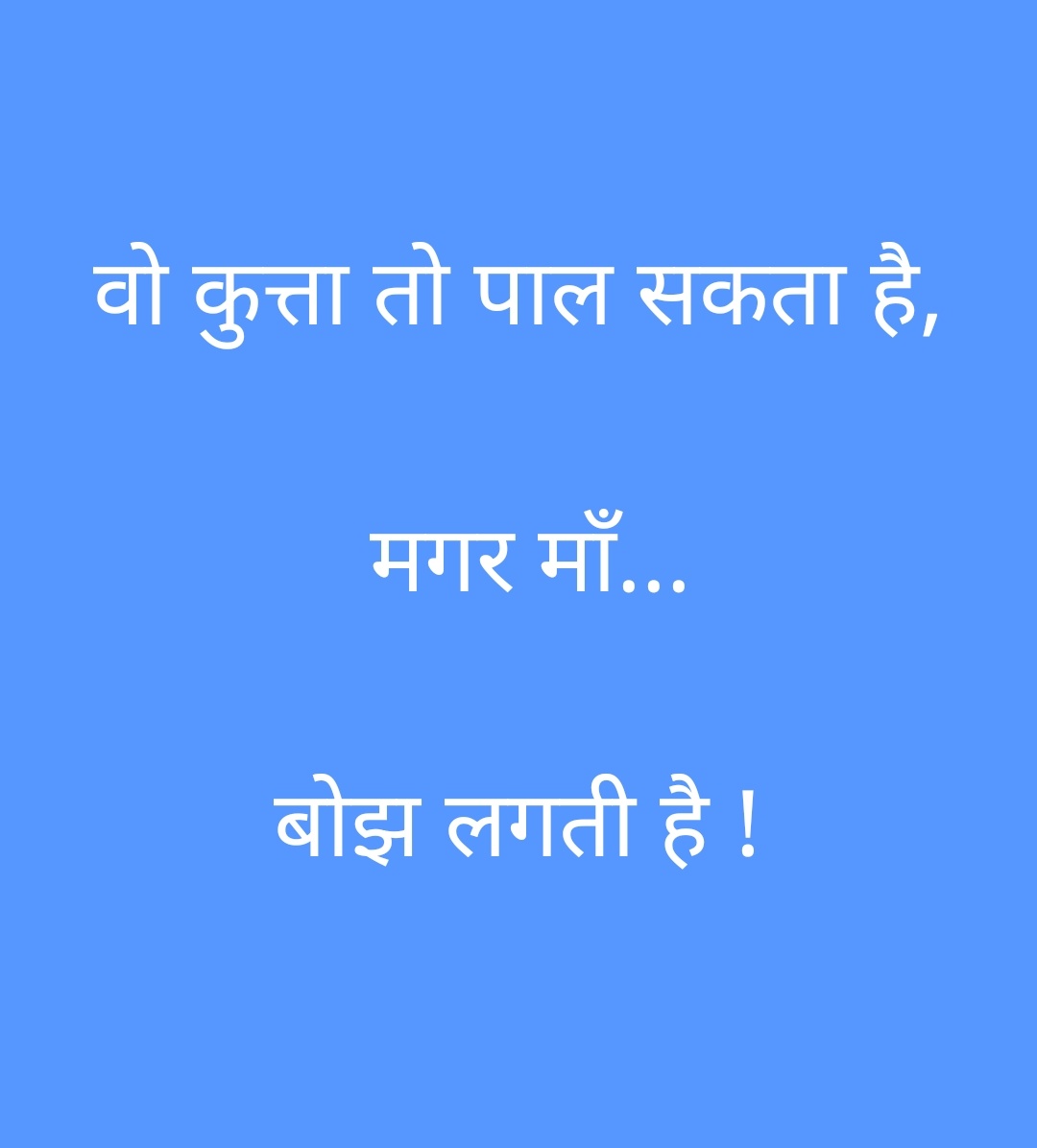 #StrayDogs #DogLovers #SC