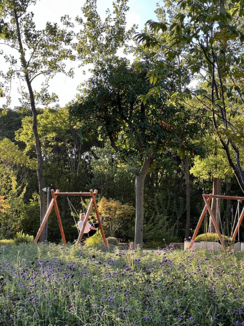 Lamb bleating tweet media