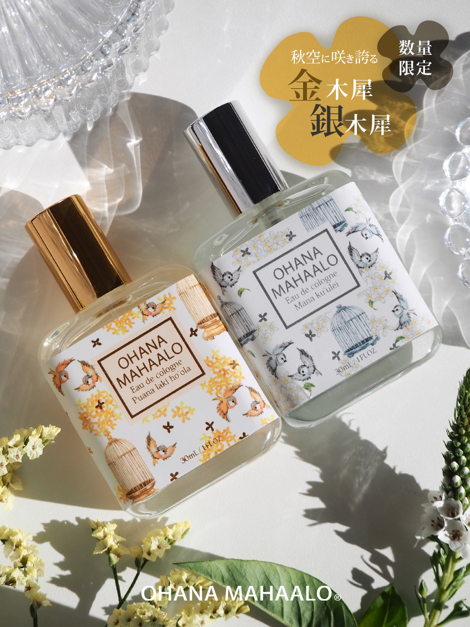 Fragrancy online（フレグランシィオンライン）公式