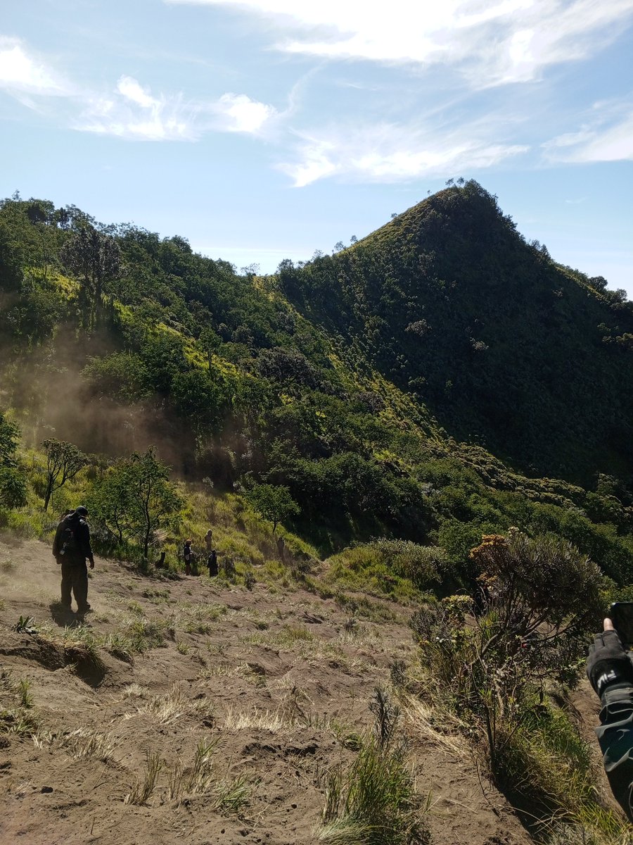 nad •⁠ᴗ⁠• tweet media