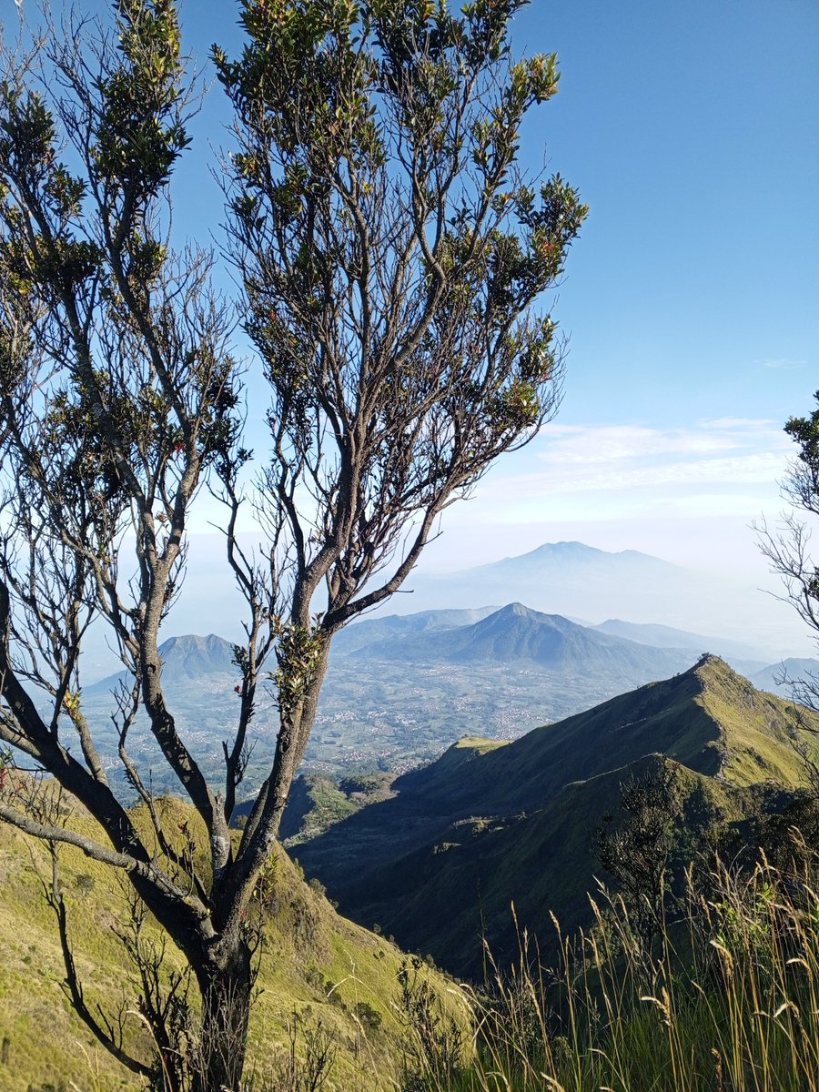 nad •⁠ᴗ⁠• tweet media