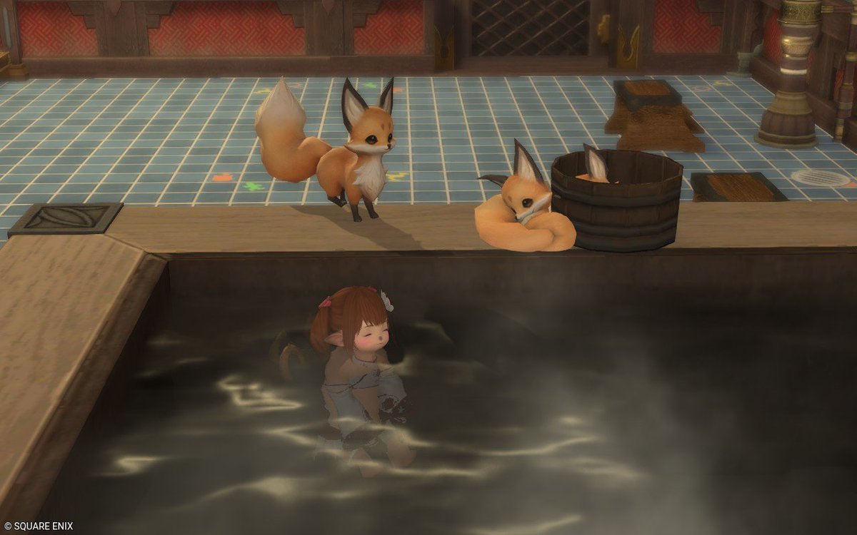 チャッピー🦊🐾 (@CHAPPIKA38) / X