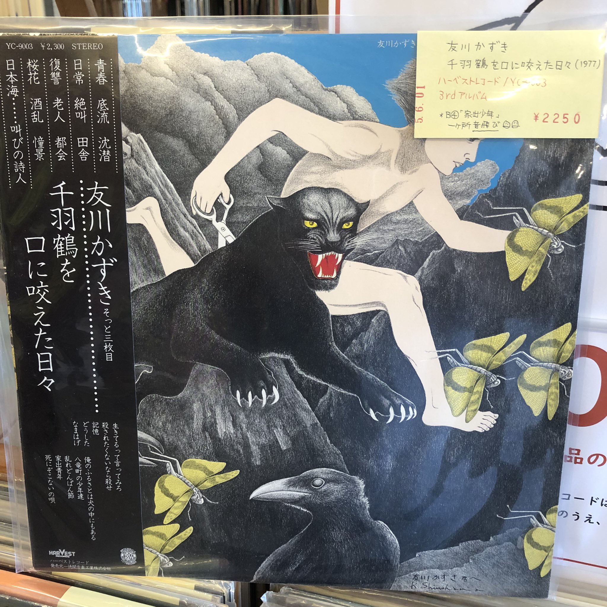 ✫友川かずき ✫千羽鶴を口に咲くLPレコード・帯付き美品 稀少 LP レコード〔 友川かずき - 千羽鶴を口に咬えた日々