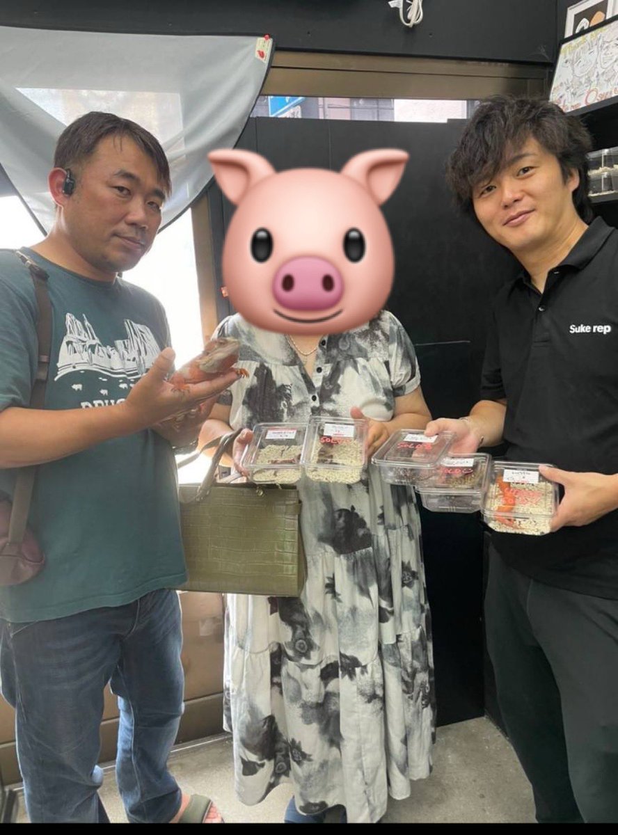 UQ1DwQGTUKlqupn's tweet photo. Suke rep (@td9977i4k )FINAL ！

朝イチで駆け込んだ我等
本命のコはsold💦

でも、良き出会いが...
予定外のお迎えに

チームSuke repの皆様
ありがとうございました

きっと、また
すぐに会えるよね😭😭😭

#Sukerep #フトアゴ#爬虫類好きと繋がりたい https://t.co/sQJ3qRp4l6