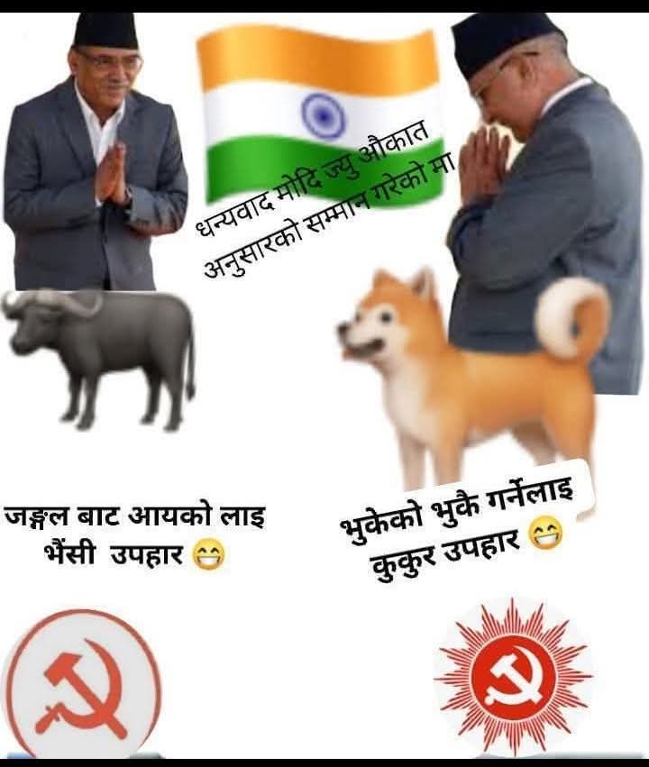 मलाई जायजै लाग्यो ।