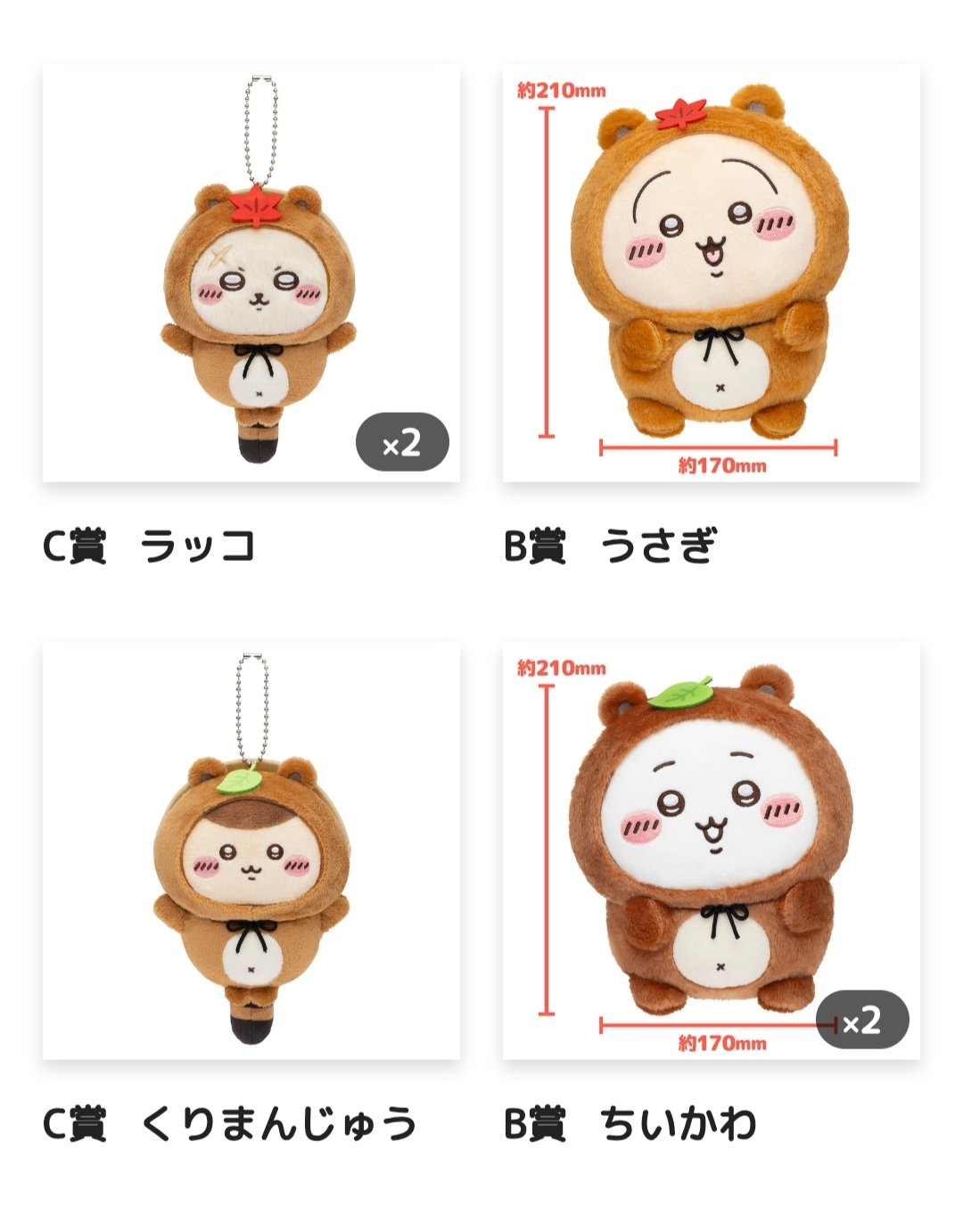 かおりん様専用 kaorin様専用 kaorin様専用 アクセサリー