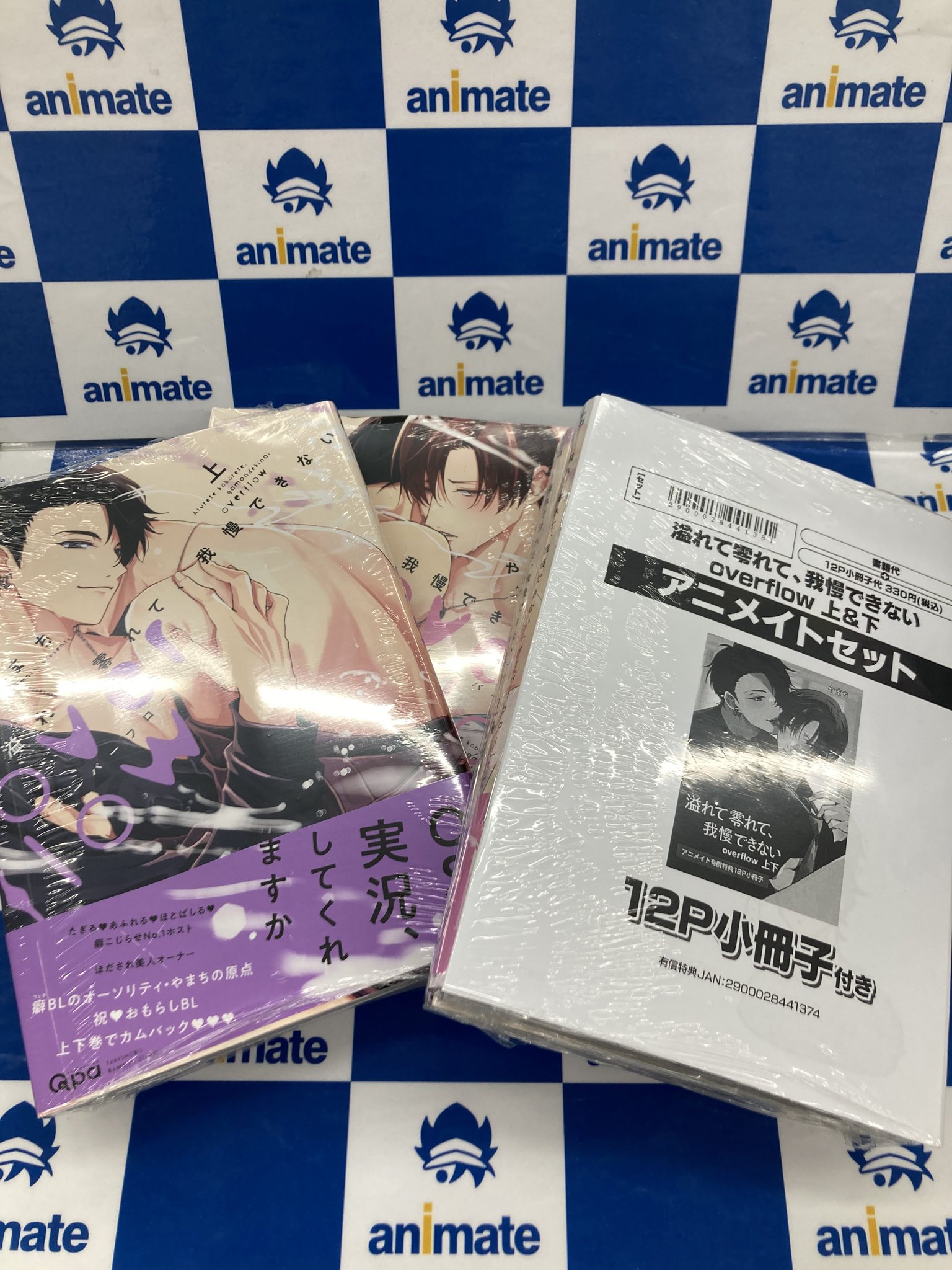 ものちぎ アニメイト特典小冊子 勿ノ怪契り ステラワース 特典 小冊子 ものちぎSS - メルカリ