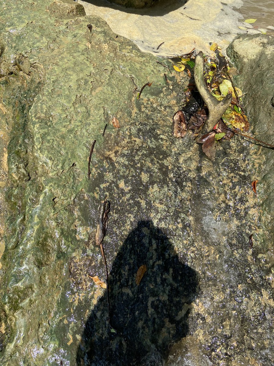 piw ꪆৎ tweet media